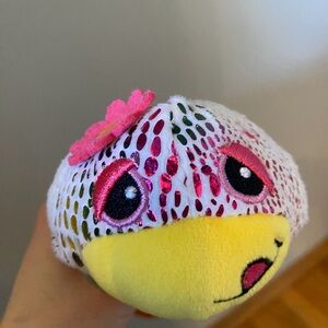 Pascalito Cutetitos Islanditos